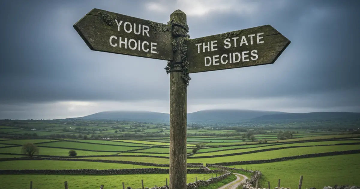 What happens if you die without a will in Ireland